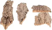 OFFSCH 4pcs Reptile Bark Decoration Cork Bark Wooden Animals Spider Terrarium Reptile Climbing Cork Lizard Tree Bark Lizard Climbing Ornament Reptile Accessories Reptile Climb Platforms