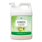 花仙子 茶樹檸檬抗菌洗手乳 3.8公升 洗手乳 清潔 防疫 COSTCO 好市多