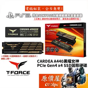 TEAM十銓 T-FORCE CARDEA A440黑曜女神 M.2 SSD固態硬碟/原價屋