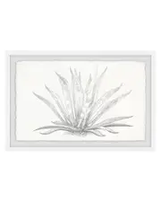 Marmont Hill Agave Desmettiana II Framed Painting Print