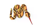 Snake, Orange, Hand Made Thailand Sand Creatures, Toy Paper Weight Cornhole 3"