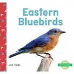 EASTERN BLUEBIRDS