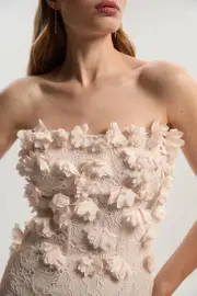 Applique Lace Corset Woven Mini Dress
