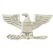 Vanguard AIR FORCE RANK INSIGNIA: COLONEL - SMALL, LEFT SIDE
