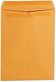 Self Stick File Style Envelope, 12 x 9, Brown, 250/Box