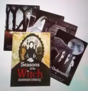 SEASONS OF THE WITCH SAMHAIN ORACLE tarot 44 Card Deck Funky Set New
