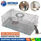 Rodent Mouse Trap Top Entry Mouse Trap Catch Rat Trap Catch Humane Rat Cage AU