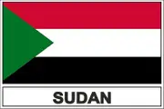 akachafactory STICK sticker flag SOUTH sudan
