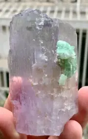 DT BiColor Kunzite with Tourmaline From Afghanistan