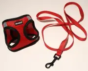 Fayogoo Cat Harness and Leash Set SMALL Mesh Reflective Step In 3.3-5.5lbs