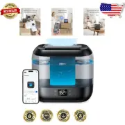 Innovative Cool Mist Humidifier with 32 Hour Runtime & Easy Refill Design