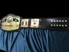 NWA Domed Globe World Heavyweight Wrestling Championship Belt Replica Adult Size