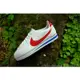 【HYDRA】 Wmns Nike Cortez Basic 白阿甘 白紅藍 紅勾 復刻 【807471-103】