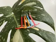 IUD Earrings (2 dollars donated to Planned Parenthood for each pair purchased)