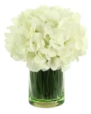 Creative Displays Soft Hydrangeas Arranged in A Glass Vase