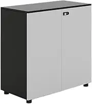 File Cabinet White+Black Office Double Door Storage Low Cabinet File Wooden with Lock Storage Data Office Drawer