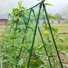 Botanical garden lattice net plant climbing Garden Climbing NettingCucumb