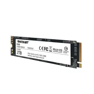 PATRiOT美商博帝 P300 SSD固態硬碟 M.2 256G 512G 1TB 2TB PCIe 3.0 Gen3