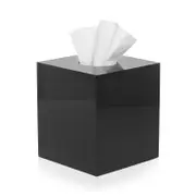 Mike and Ally Ice Boutique Tissue Box