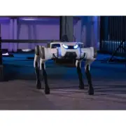 YUNSHENCHU Lite 3 Basic Bionic Quadruped Robot Dog High Driving Force 5KM Range/