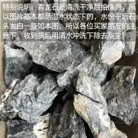 在飛比找樂天市場購物網優惠-魚缸造景石青龍石酸洗大塊原石水族箱裝飾草缸造景石頭假山石套餐