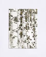 8X10" White Matted Print Art Painting Picture Bev Doolittle: Woodland Encounter