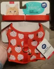 NEW Whisker City Kitten Vest Harness And Leash. Kitten size. Strawberry shapes