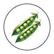 Green Peas Vegetable Garden stickers labels tags envelope seals