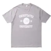 NEW - LIMITED EDITION UNDFTD/UNDEFEATED BIG TEN CHAMPS TEE - GREY (Size XXL)