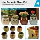 6x Mini Ceramic Plant Pot Owl Succulent Flower Office Home Decoration