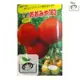 【禾康肥料】日本桃太郎番茄163(おおみや163)種子 可超取