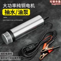 在飛比找露天拍賣優惠-電動抽油泵神器12v24伏柴油汽油通用油抽子小型抽水泵浦車載