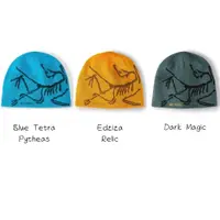 在飛比找蝦皮購物優惠-Arc'teryx BIRD HEAD TOQUE 毛帽 保