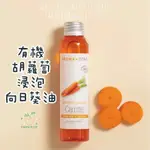 【AZ植物油】有機 胡蘿蔔浸泡有機葵花籽油 基礎油 原裝100ML  浸泡油〈法國AROMA-ZONE〉【余老師】