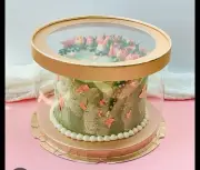Cylinder Clear Cake Boxes Bulk