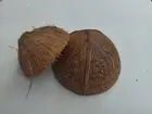 Coconut Shell Natural Bowl 100% Eco Handmade Ceylon COCONUT SHELL Friendly Pure