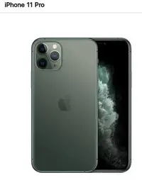 在飛比找Yahoo!奇摩拍賣優惠-IPHONE  11 PRO 256G 夜幕綠