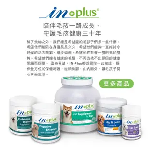 獨家買1送2筷子肉條🔥耐吉斯贏IN-PLUS 全方位專業狗狗營養品，皮毛卵磷脂 關節葡萄糖胺 眼睛保健 腸胃益生菌保健