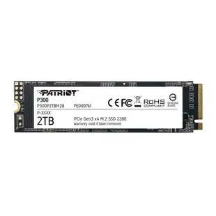 PATRiOT美商博帝 P300 SSD固態硬碟 M.2 256G 512G 1TB 2TB PCIe 3.0 Gen3