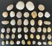 45pc Michigan Quartz Beach Rocks & Pebbles - Smooth White & Yellow Quartz - 1 LB