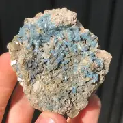 6.0cm Blue Fluorapatite Apatite Crystals from Governador Valadares, Brazil