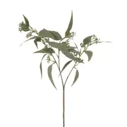 Artificial Silk Australian Native Eucalyptus Leaf and Seed Greenery - Green G...
