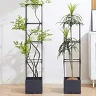 Planter Box with Trellis Plant Support Pot Elegant Tomato Cage for Climbing