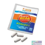 【AMINO STRONG】諾壯 BCAA 膠囊 （一袋4粒）(補給品)