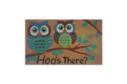 Solemate Latex Backed Coir Hoo''s There 45x75cm Slim Outdoor Stylish Doormat