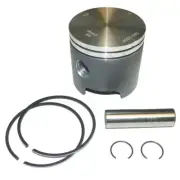 Piston Kit For Johnson/Evinrude 28 - 60 Hp 2 Cylinder 80-05 Standard 2008-2006