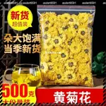 【全台免運】黃菊花 菊花茶500G黃新貨菊花茶胎菊正品黃菊-花另售貢菊胎菊花茶 台灣出貨 散裝食品