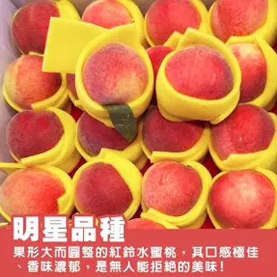 【WANG 蔬果】台灣紅鈴水蜜桃10顆x1盒(110g/顆_禮盒裝)
