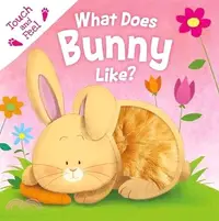 在飛比找三民網路書店優惠-What Does Bunny Like?: Touch &