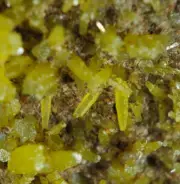 Yellow Pyromorphite Crystals Proprietary Mine Broken Hill NSW. Aust. (EA10104)